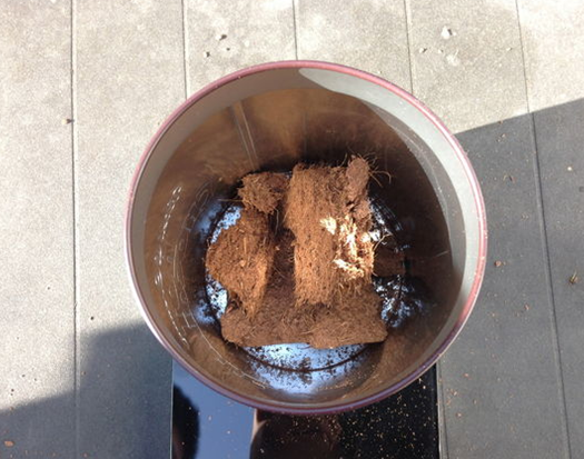 ��ʳ��������������̿