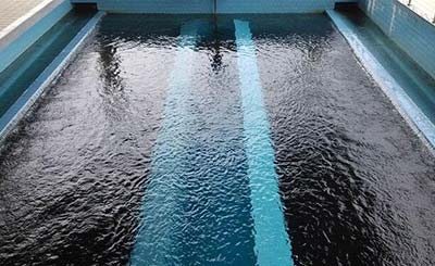 ����̿���˵�Ԥ����