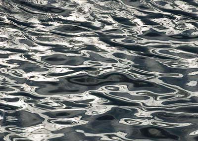 ����̿����������Һ