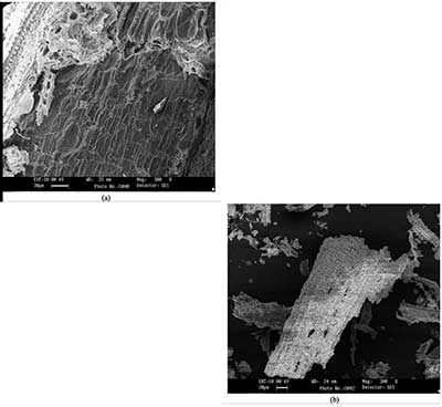 ����̿��ˮ��Һ��������