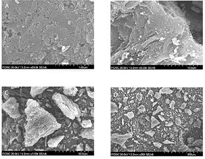 ����̿�����ȩ����