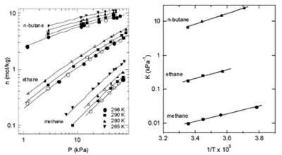 ����̿������������