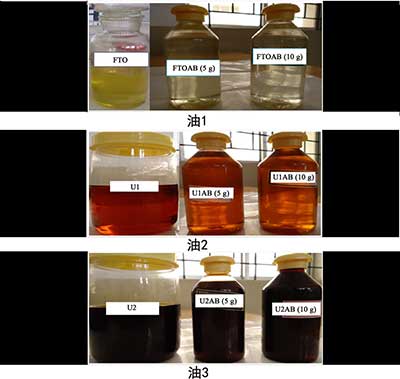 ����̿����������