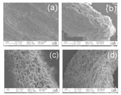 ����̿ʹ���Ȼ����