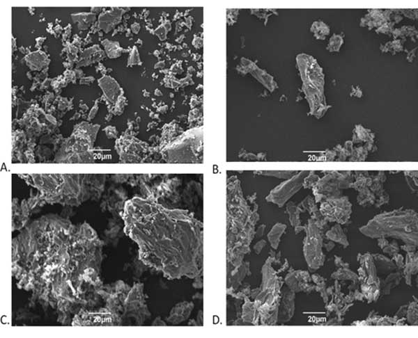 ����̿750�Ŵ�����SEMͼ��