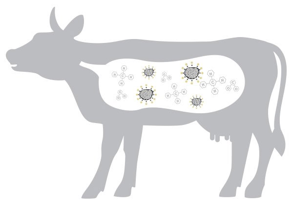 ����̿���Ʋ��鶯������ϵͳ