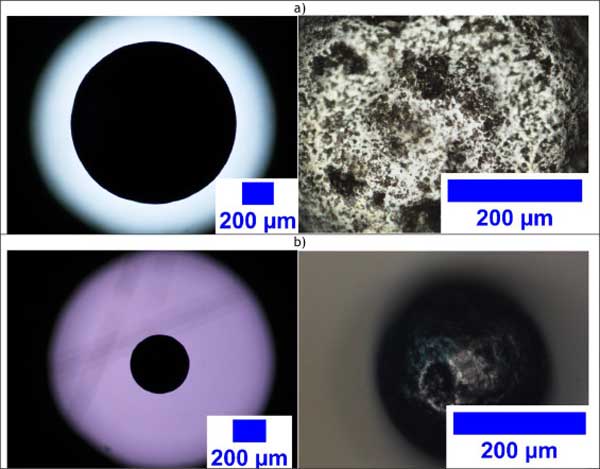 ����̿΢���л�����������ͽ���